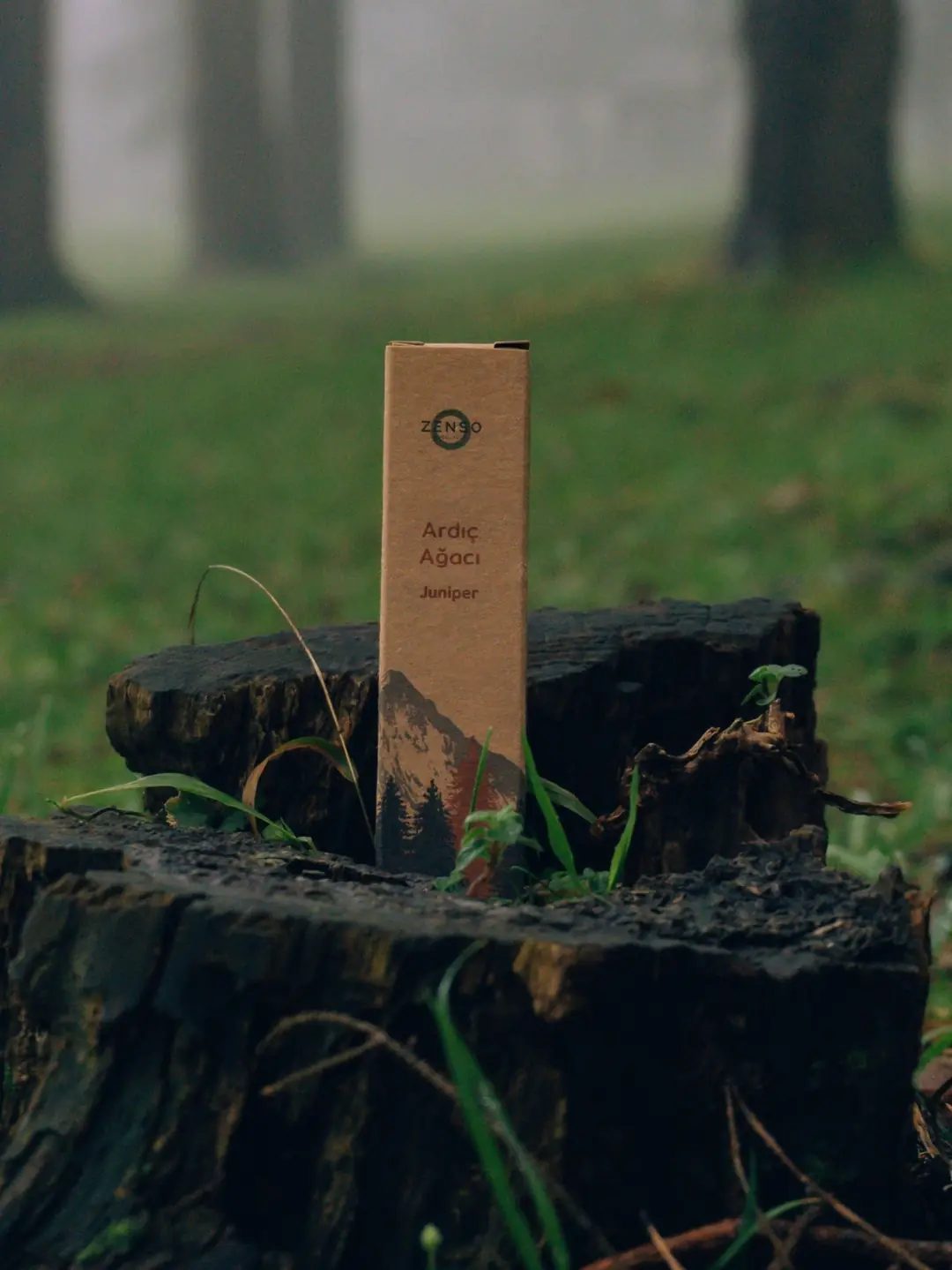 Kuş Tırmalama Ağacı Doğal 3lü