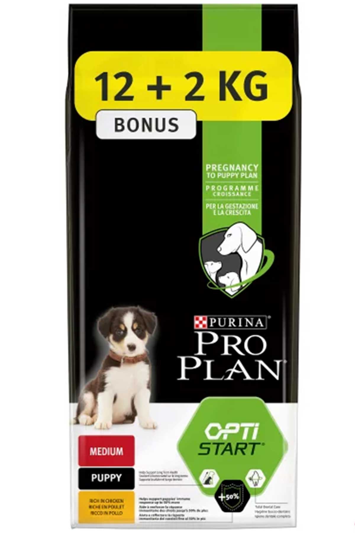 ProPlan Puppy Medium Tavuk 12kg